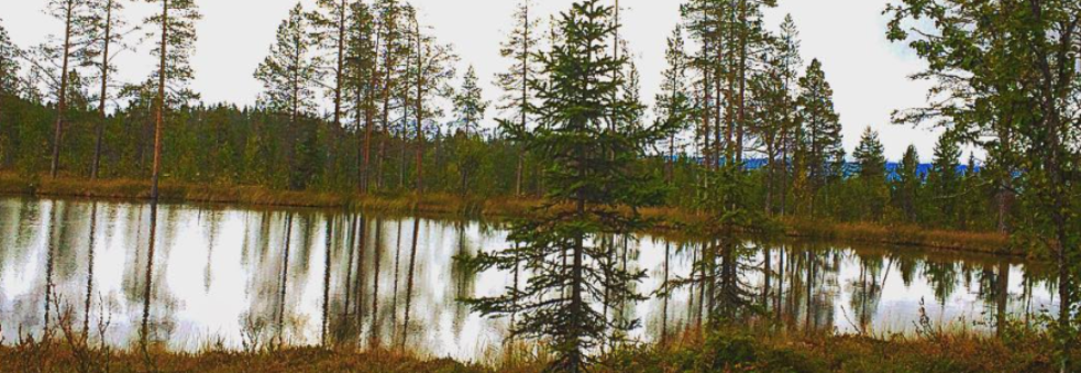 Ni på Tøpp tur: Pålset rundt